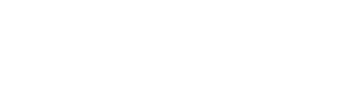 INS Land